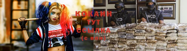 твердый Михайловск