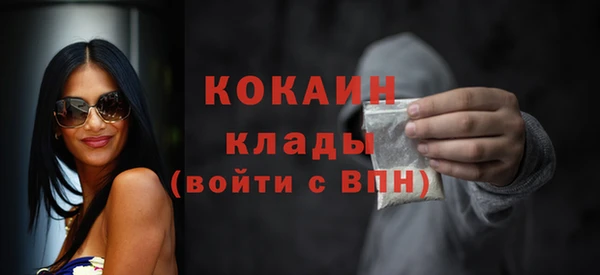 твердый Михайловск