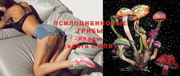 твердый Михайловск