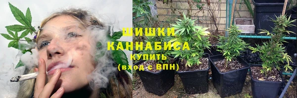 твердый Михайловск
