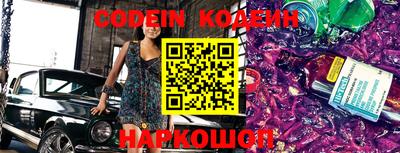 прущие грибы Будённовск