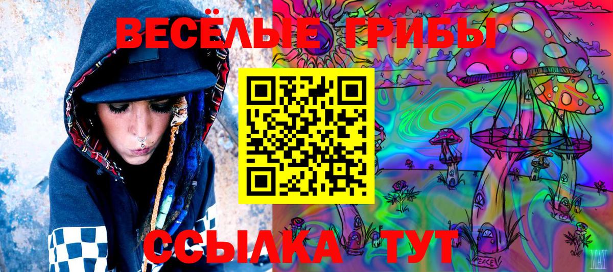 Галлюциногенные грибы Cubensis Коломна