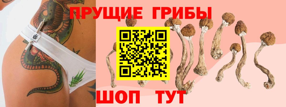 Коломна  Псилоцибиновые грибы Magic Shrooms  Вход с VPN 