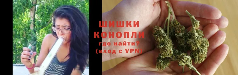 Конопля индика  Коломна 